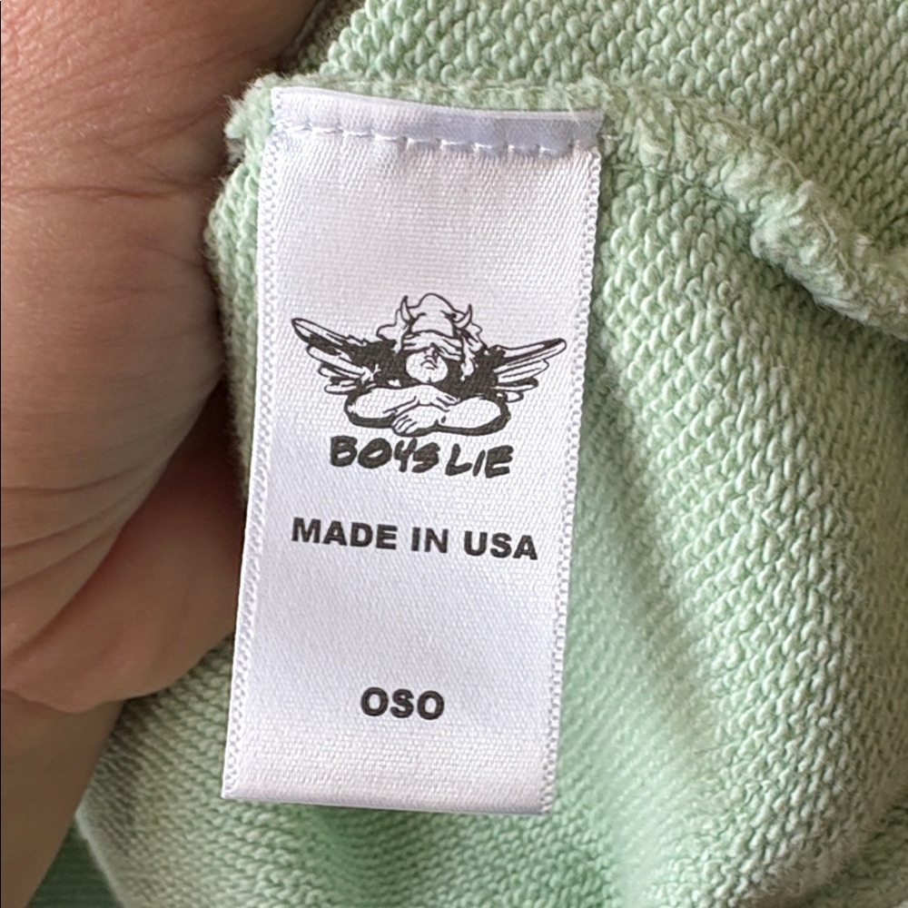 Boys Lie Light Green Hoodie Sweater - Picture 7 of 8